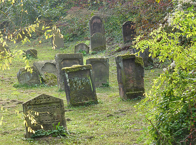 juedfriedhofworms-50